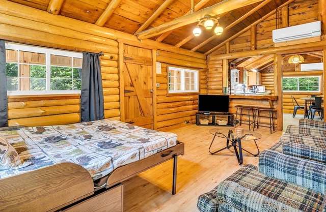 Authentic ski cabin