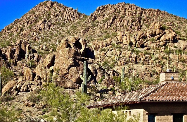 Authentische Tucson-Erfahrung: Schlamm Adobe Casita Eingebettet in Canyon Among Wildlife