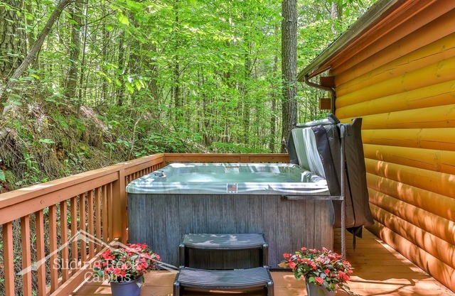 Autumn's Hollow : one story, easy access, 2/2, HOT TUB, pet friendly, lake,