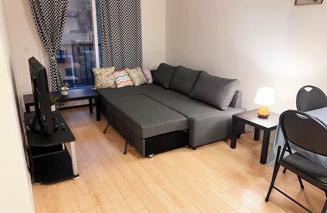 Awesome apartment 1B+1 Living, you won't pay anything except the rent