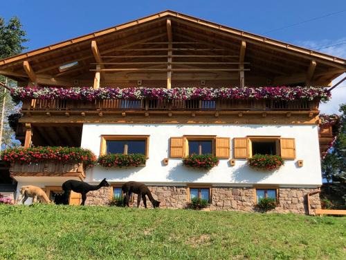 B&B Belvedere
