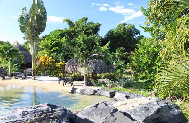 B & B CABANAS LOS COLIBRIS: Tropischer Garten, Meer und Berge in der Nähe!