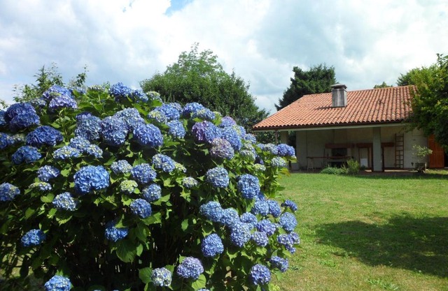 B&B Cuei di Baret