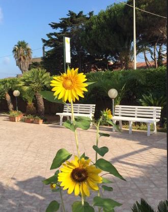 B&B Fiori Gialli Caucana