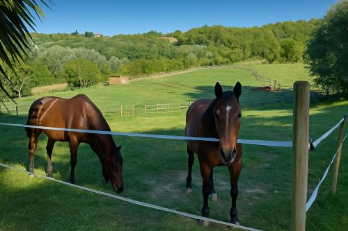 B&B Freedoms Reins Farm