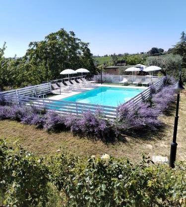 B&B Il Gelso Country House