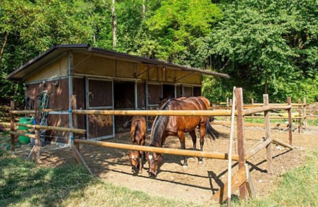 B&B in Valtrebbia