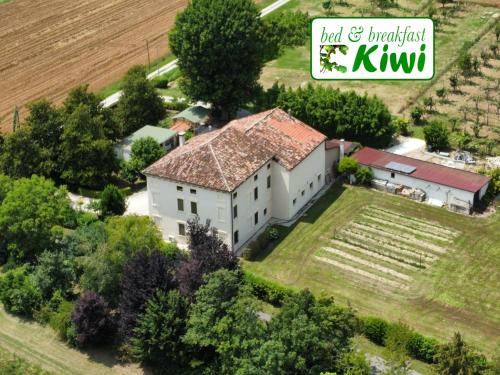 B&B Kiwi
