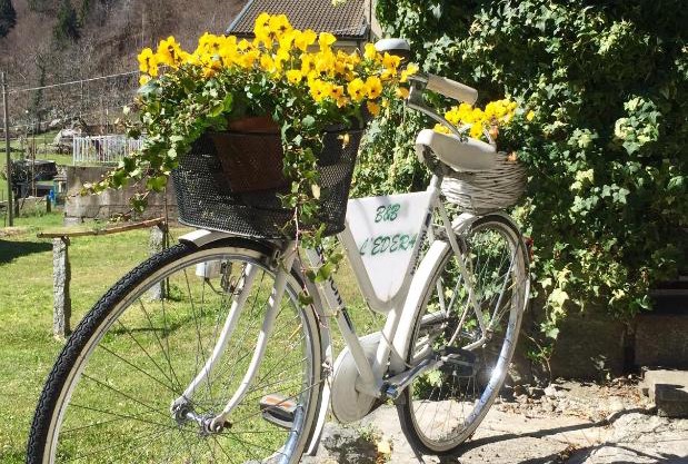 B&B L'Edera
