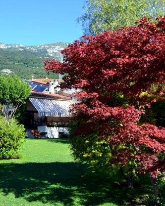 B&B La Betulla