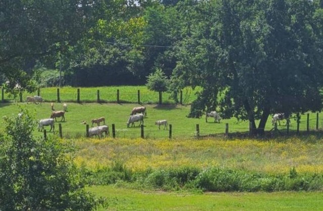 B&B La Rugiada. A 20th century residence immersed in the greenery of Monferrato.
