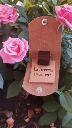 B&B La Terrazza