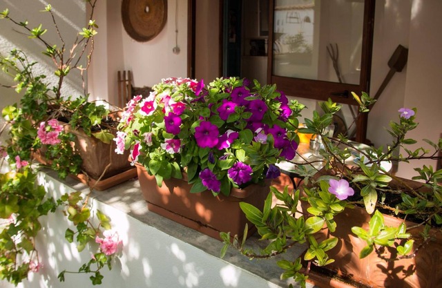 B&B Martina