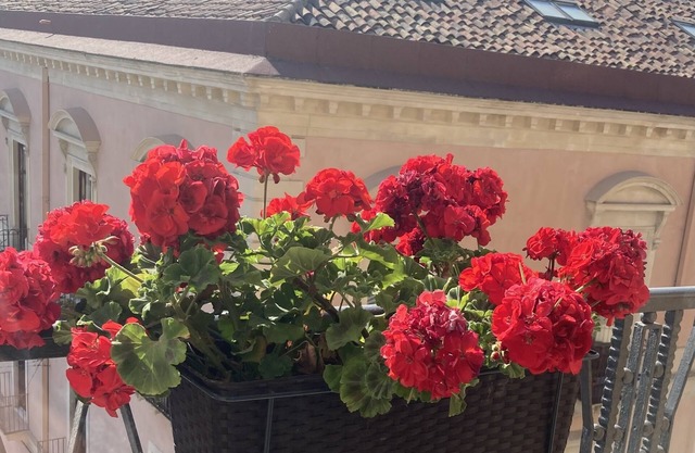 B&B Oriental Palace