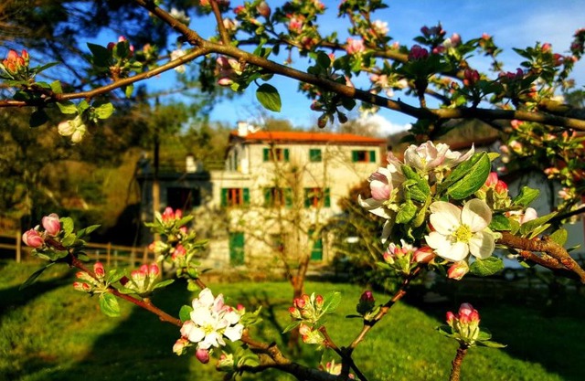 B&B Tre Ponti