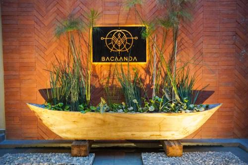Bacaanda #1
