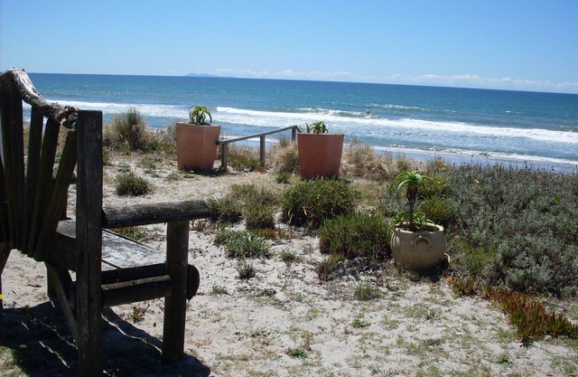 BACH on BEACH- Pipi Palace.
