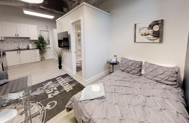 Bachelor apartment in downtown