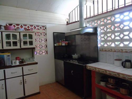 Backpackers Corcovado Tours