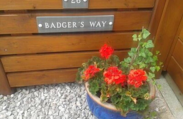 Badger's Way - Im Herzen des englischen Lake District - Badger Watching Here