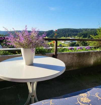 Balcony-Apartment besides forest