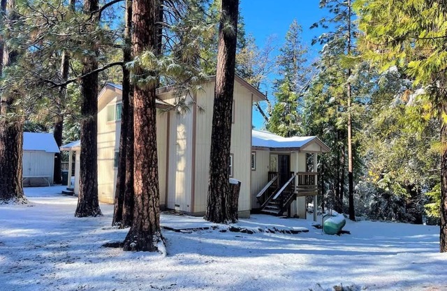 Baloo's Cabin - Tranquil Escape