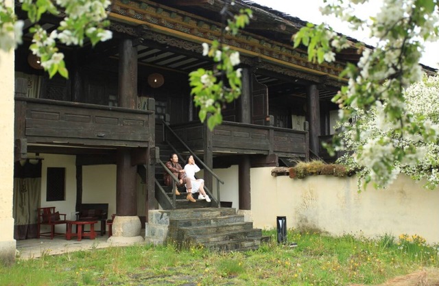 Banyan Tree Ringha