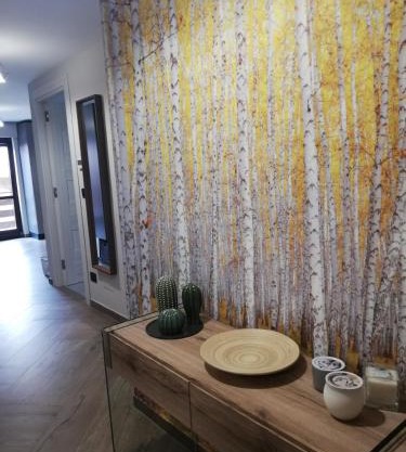 Bardonecchia Apartment