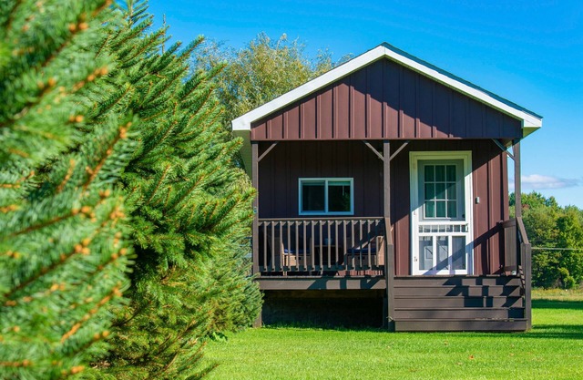 Country Tiny House,Private POOL,Private Barn Game room, GOAT🐐, Patio&Outdoor Bar