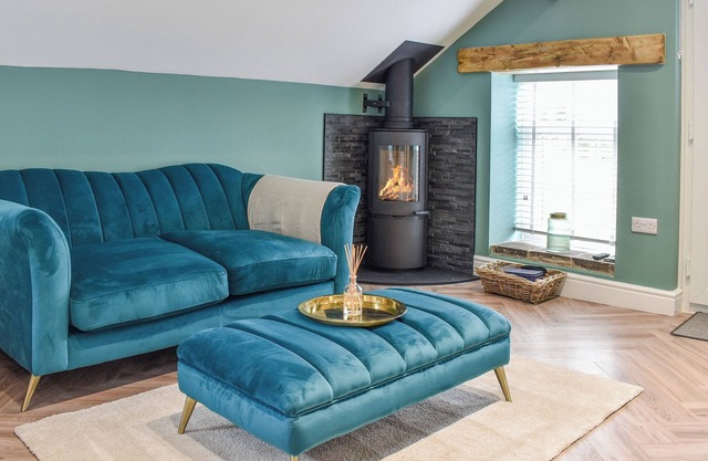 Barn Owls Nest-UK39432