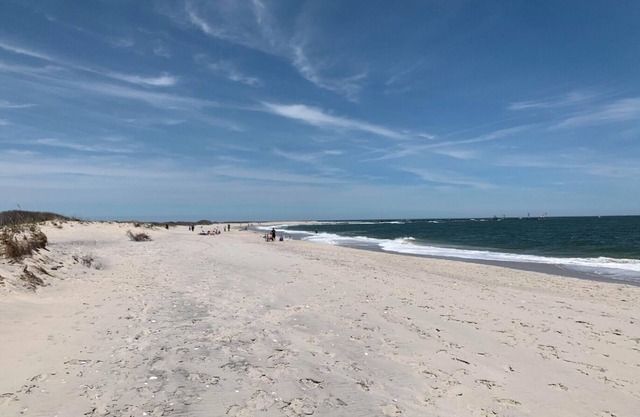 Barnegat Light - one house off the ocean - 3 Bedrooms 1 1/2 Baths