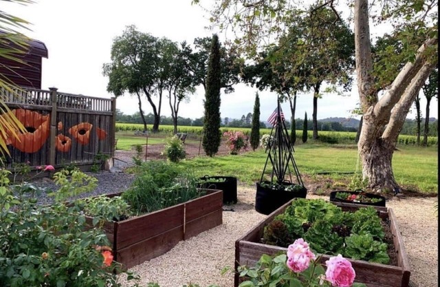 BARNITA: Vineyard view / Quiet Country Setting.