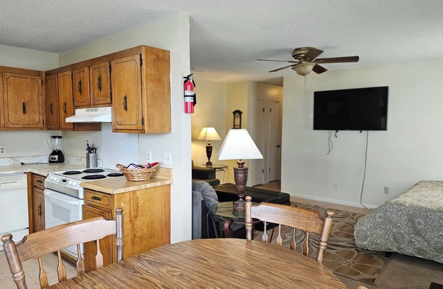 Basic Intown Apartment convenient to Beach and Town