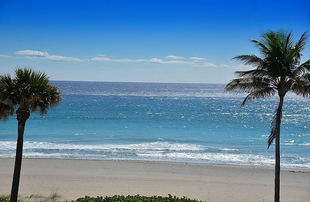 Bask In The Sun, A Few Minutes to Boca Raton Beach! Pool, Parking, Pet-Friendly!
