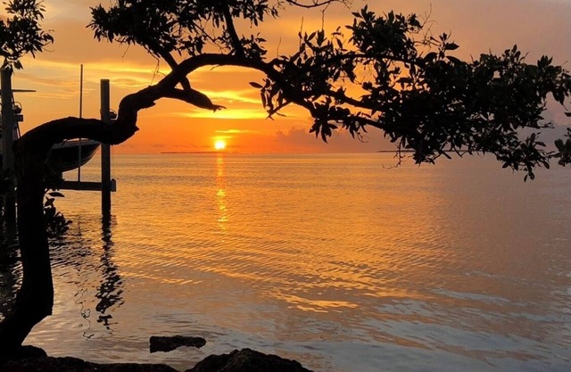 Bay view villa in Islamorada, palm trees, shade trees and two private porches