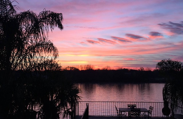 Bayou Life Experience auf Louisiana Bayou. Nur 25 Meilen bis zum French Quarter.