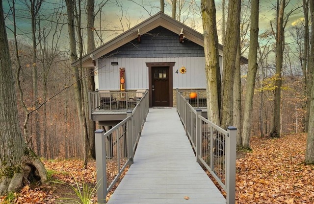 Be at home in the trees.