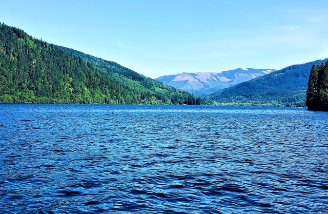 The closest rental property to the largest beach on Lake Whatcom.