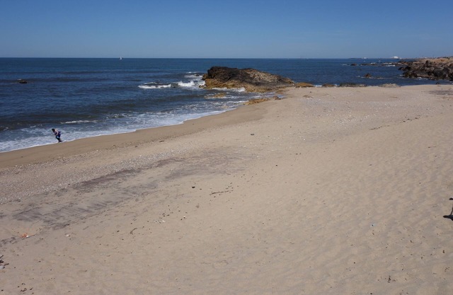 Beach apartment with sea view only 15 minutes away from Porto center and 100mts