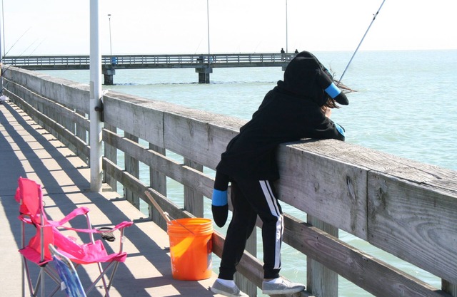 Strandwohnung Gehen Sie zum Sandstrand und zum Texas State Aquarium.