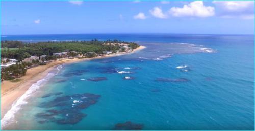 Beach front apartment in Luquillo