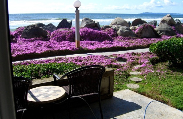 Beach Front Condo ~ So nah am Wasser kann man es fühlen ~ 30 + DAY'S DISCOUNTED !!!
