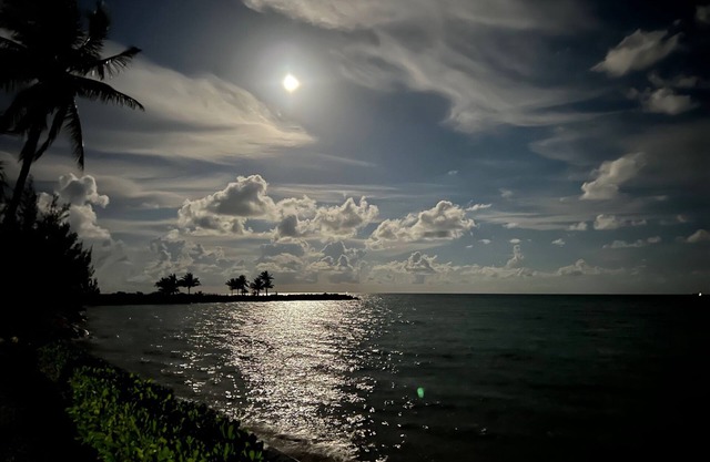 Beach Front cottage on the Best beach in Grand Bahama
