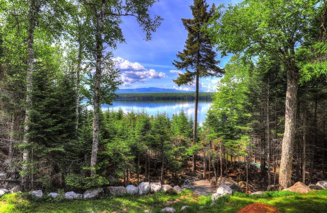 Beach Front Retreat - Privathaus am Mooselookmeguntic Lake