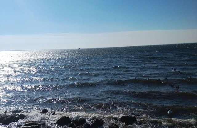 Beach House located in Black Rock Harbor. Walk 1 block to beach. Private & Quiet
