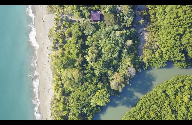 Strandhaus in fabelhafter Lage, 15 Minuten von Puerto Jimenez entfernt