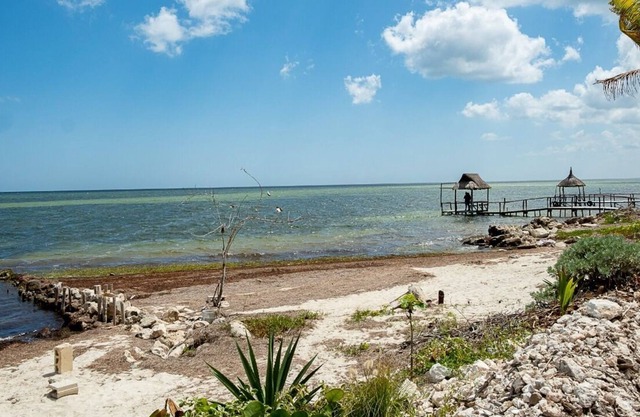 Beach house with beautiful view of the mangrove
