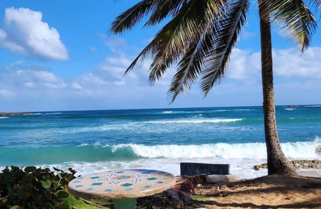 Beach Oasis paradise