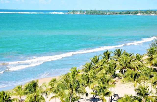 Beach Rental LUX Apt 3BR-2BTH+Sofabed+City & Ocean View