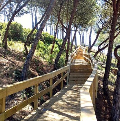 Beach,surf, hiking and more